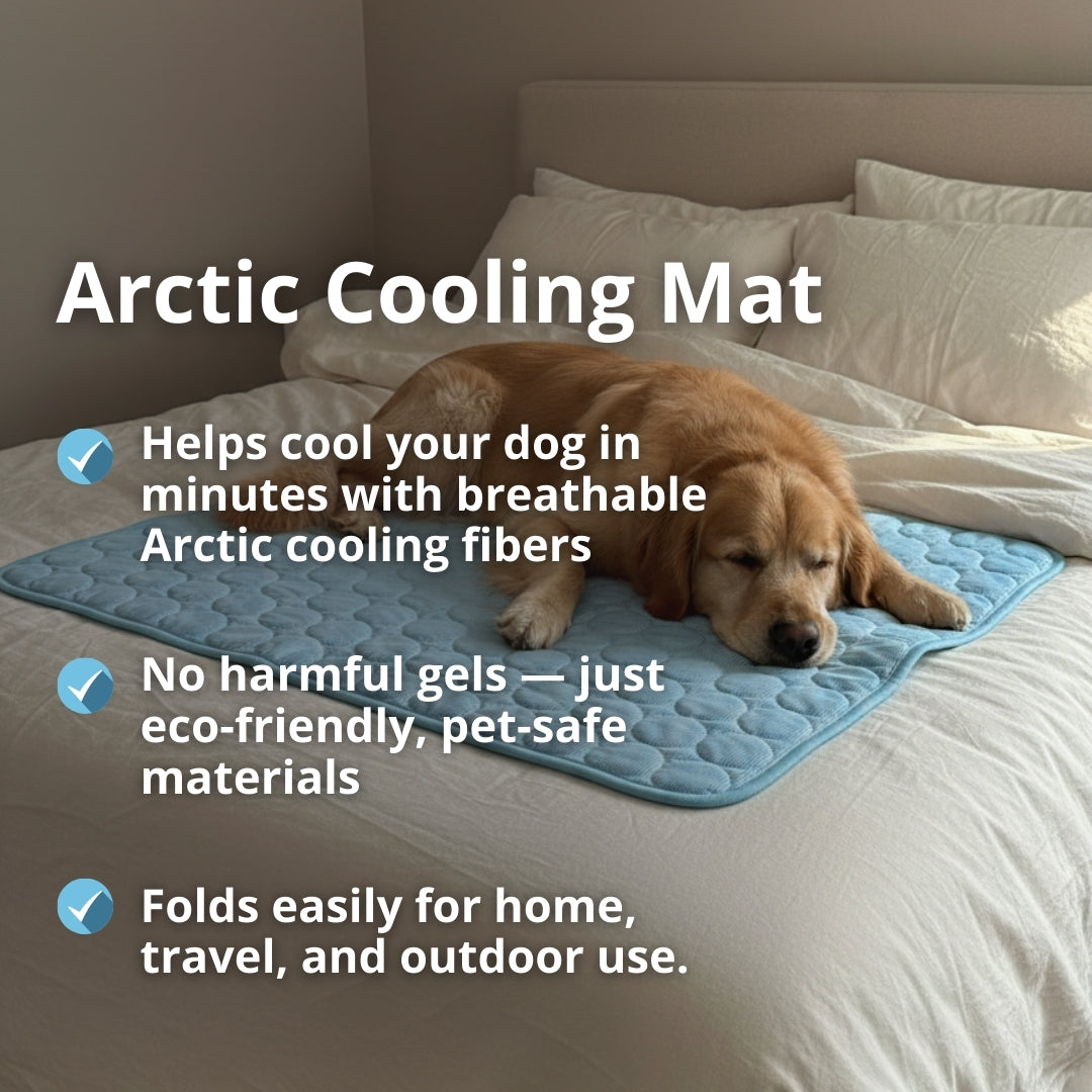 Arctic Cooling Dog Mat