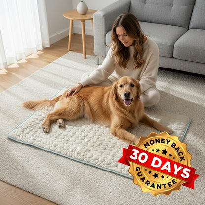 Arctic Cooling Dog Mat