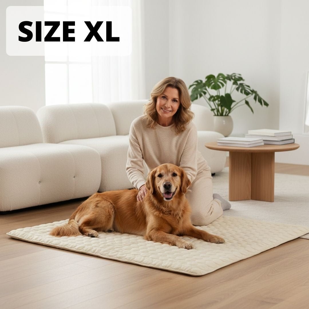 Arctic Cooling Dog Mat